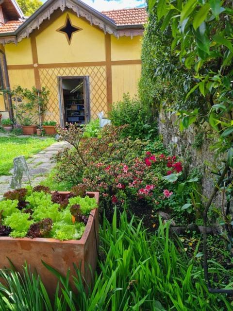 Ca Balossa, Tremezzina Lago Di Como Davanti A Bellagio E Villa Balbianello Mezzegra Buitenkant foto
